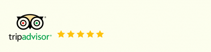 Google Reviews