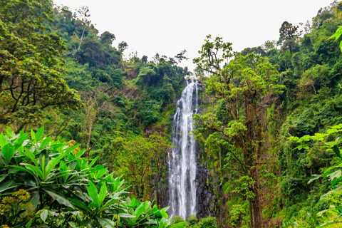 Materuni Waterfalls Tour