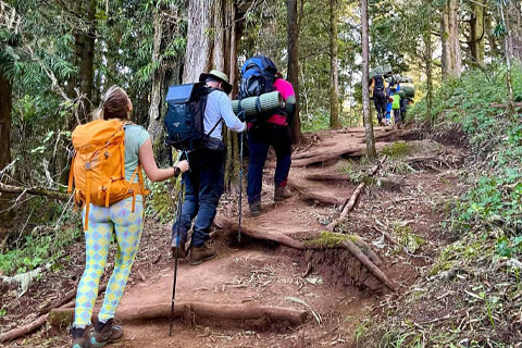 One Day Hike Kilimanjaro