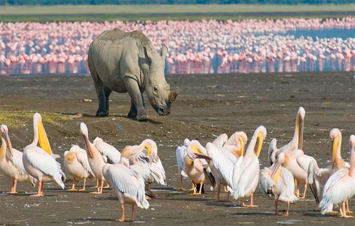 masai-mara-lake-nakuru-samburu-and-aberdare