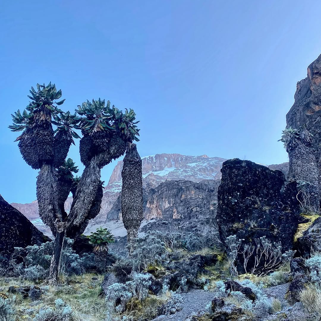 Mount Kilimanjaro