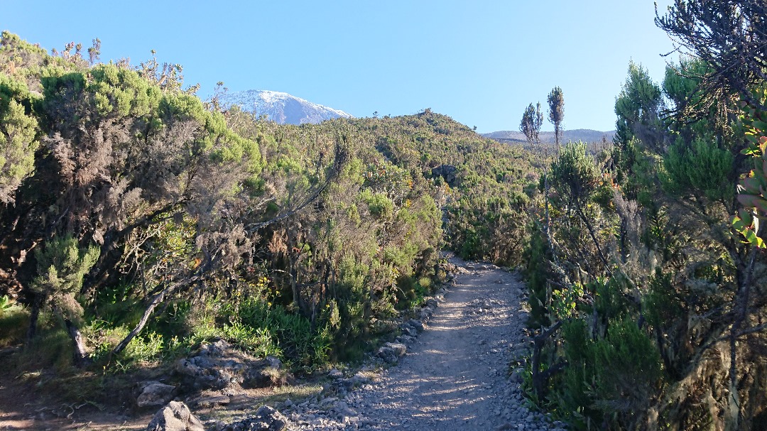 Best Route for Climbing Mount Kilimanjaro