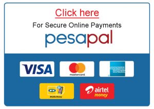 ONLINE PAYMENT METHODS