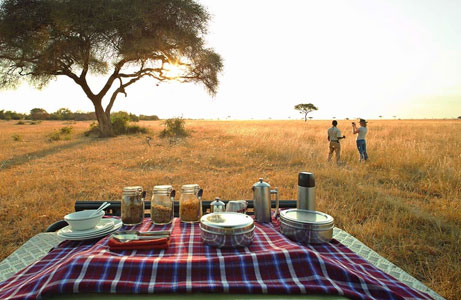 3days-camping-safari