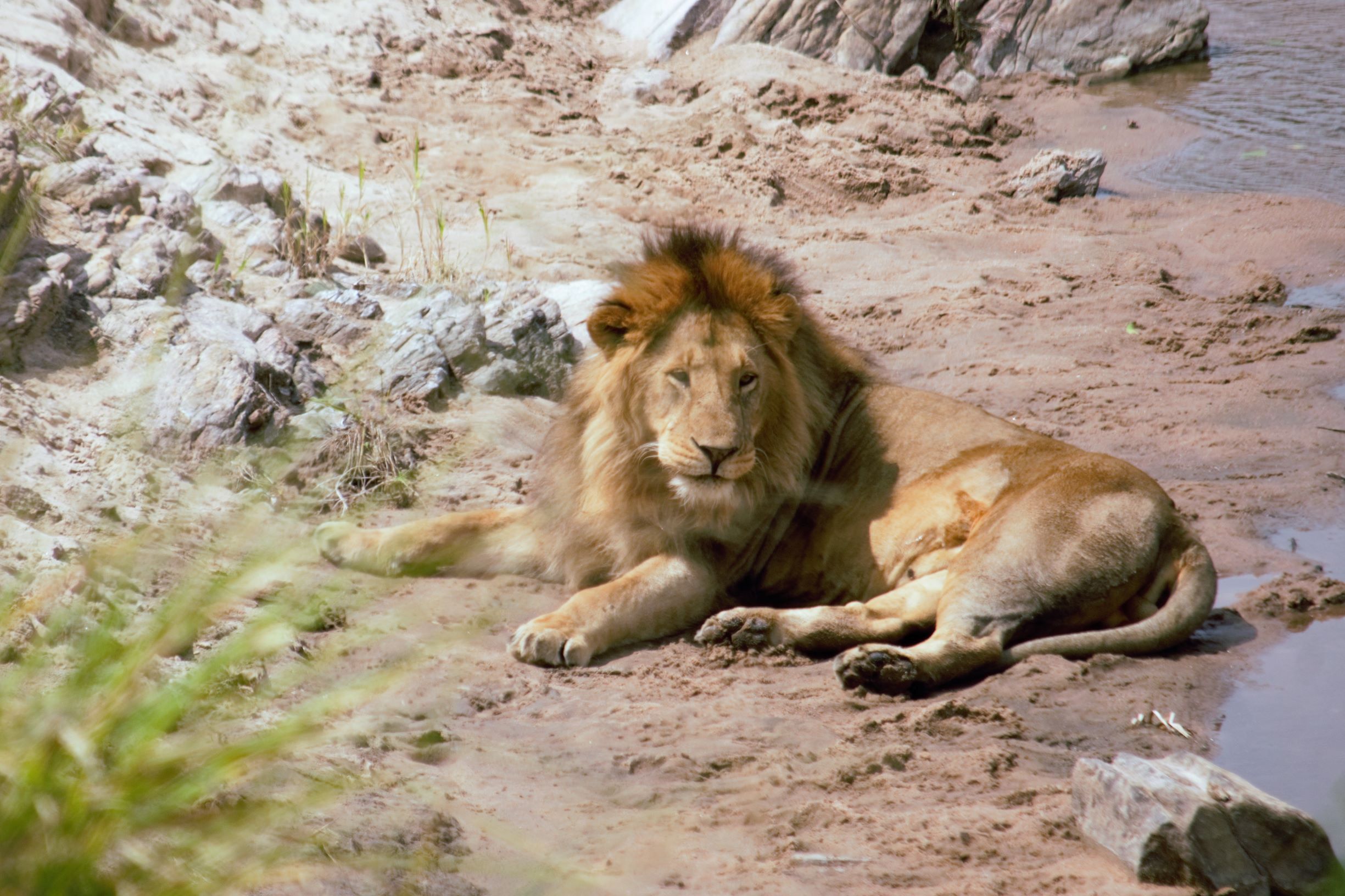 3-Day Wilderness Midrange Group Safari